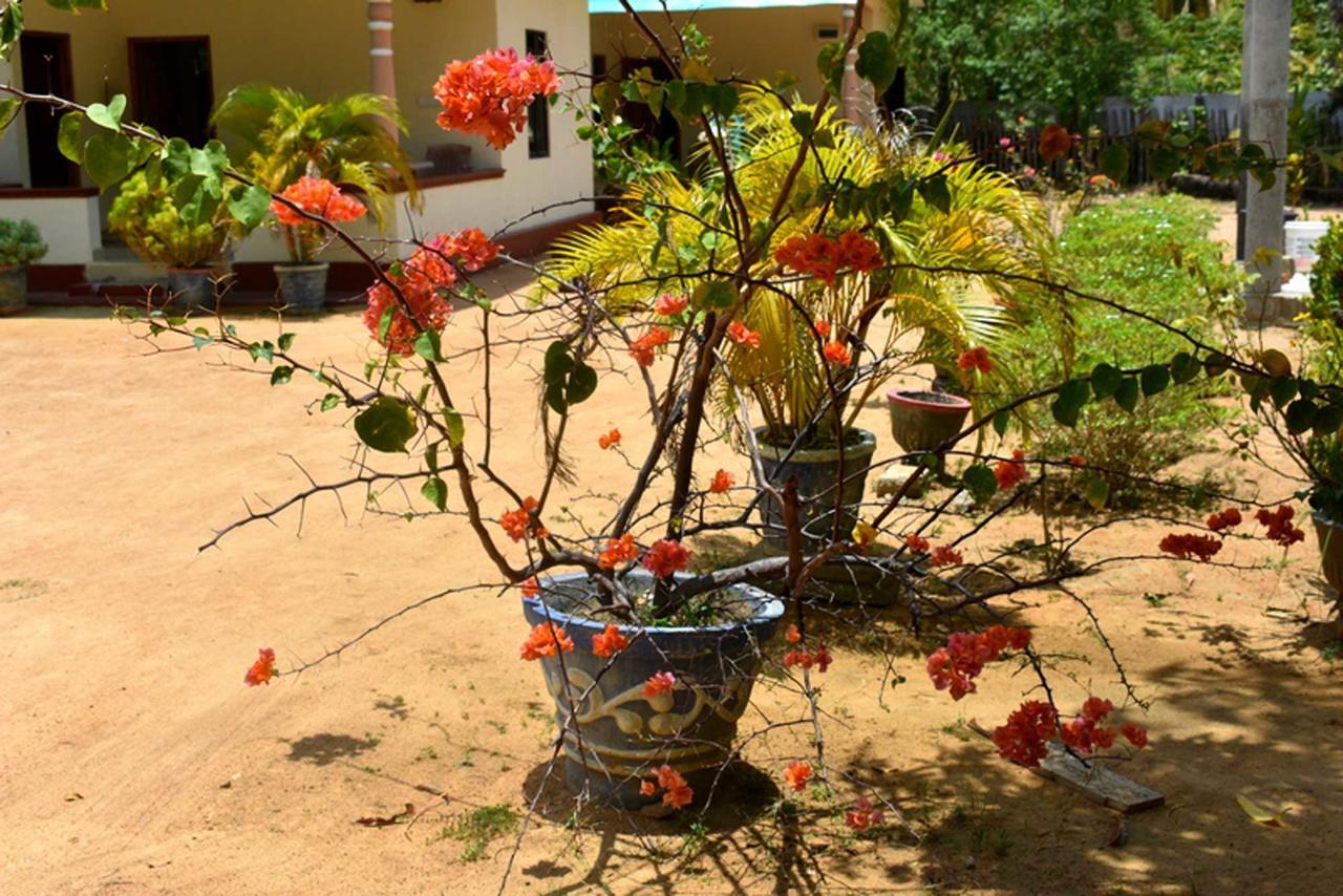 Yaswi Guest House Passikudah Dış mekan fotoğraf